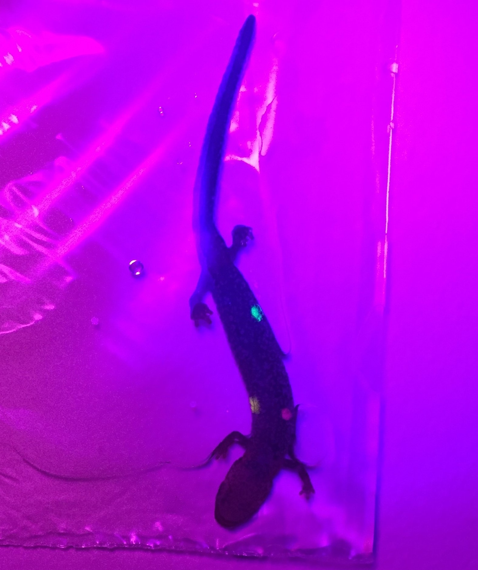 Taken by Sarah Timko